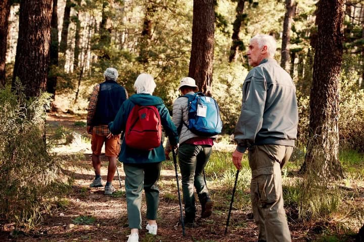 Group of older adults hiking in the forest